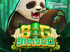 Bedava slot casino oyunları33